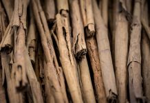 ¿Para qué sirven los aceites esenciales de canela? Aceite esencial de canela