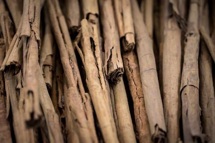 Aceite esencial de canela