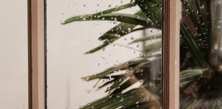 Aceite esencial de romero