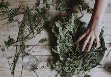 ¿Qué es el aceite esencial de salvia? Aceite esencial de salvia