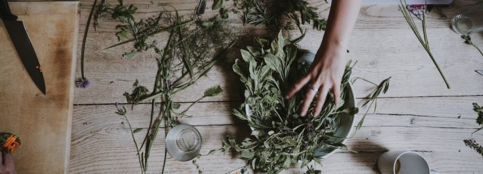 Aceite esencial de salvia