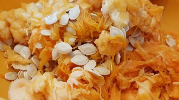 Cómo tomar semillas de calabaza