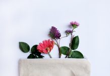 Beneficios de la cosmética corporal natural Cosmética natural ecológica