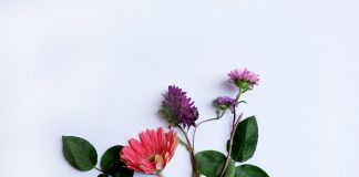 Cosmética natural ecológica